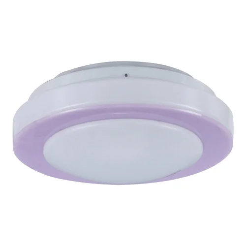 Plafon Led Rosa Para Ventilador, Candeeiros e Iluminação | Lúzete