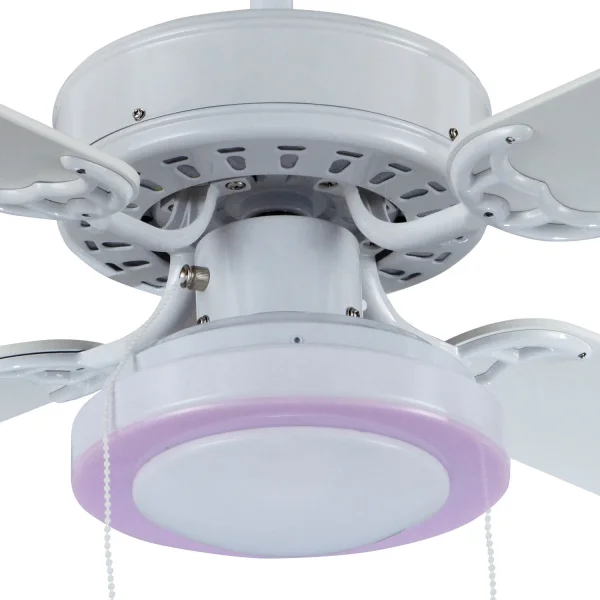 Plafon Led Rosa Para Ventilador, Candeeiros e Iluminação | Lúzete