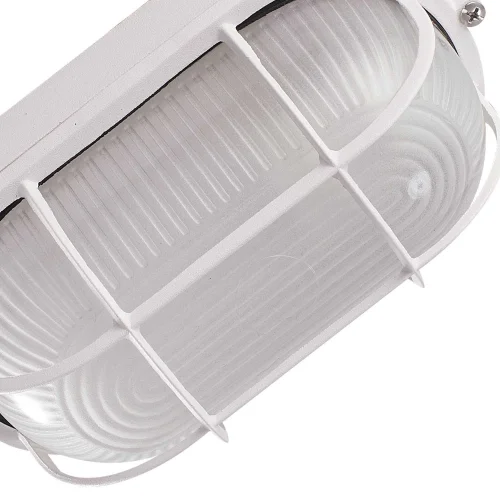 APLICAR EXTERIOR BRANCO GRADE OVAL