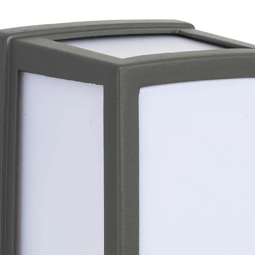 APLICAR MOLAS DE PALMEIRA LED EXTERIOR 12W 4000K