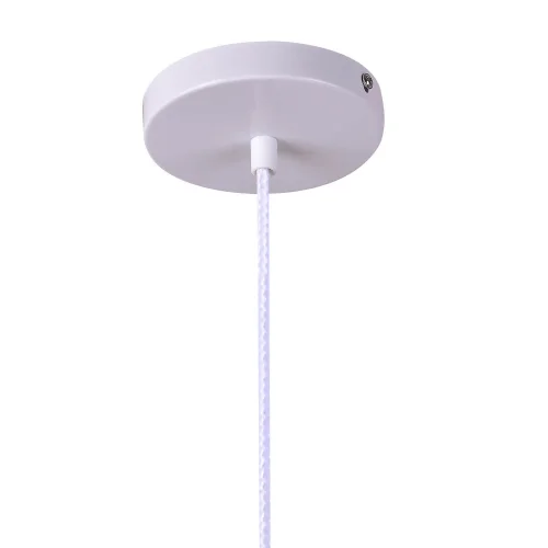 MADEIRA DE QUERATINA DE LÂMPADA DE TETO 23CM