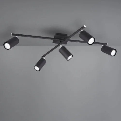 TETO DO TETO DO GRAFTON PRETO