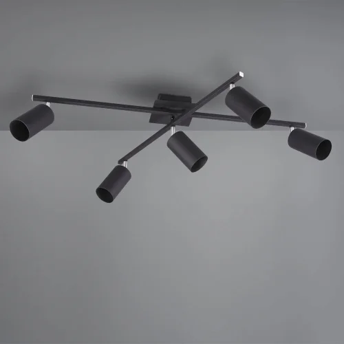 TETO DO TETO DO GRAFTON PRETO