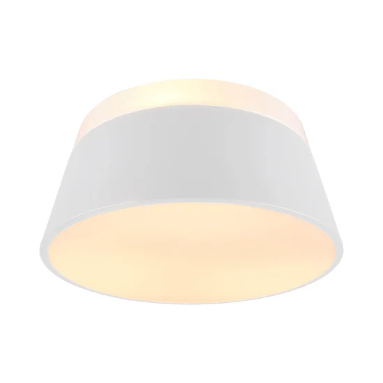 DUQUESA TETO TETO DO TETO DE METAL BRANCO