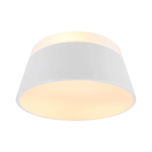 DUQUESA TETO TETO DO TETO DE METAL BRANCO