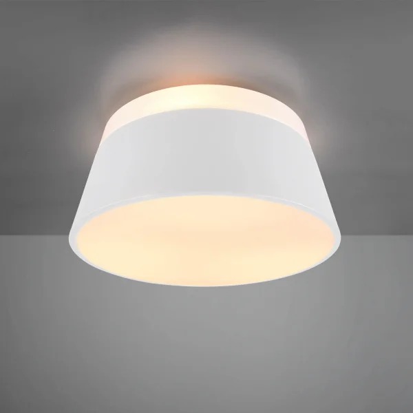 DUQUESA TETO TETO DO TETO DE METAL BRANCO