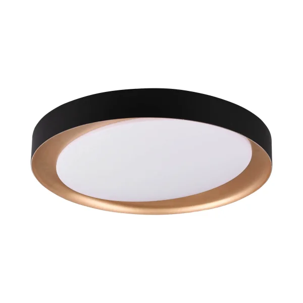 LUZ DE TECTO LED BENTON 24W REGULÁVEL PRETO