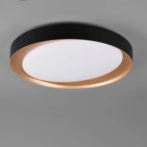 LUZ DE TECTO LED BENTON 24W REGULÁVEL PRETO