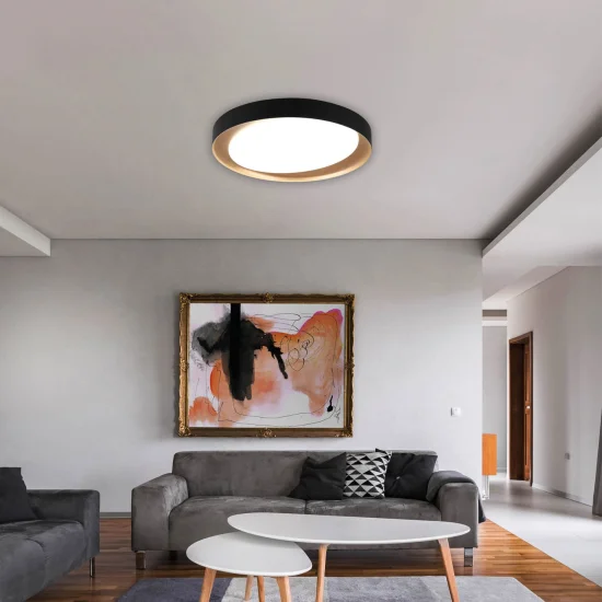 LUZ DE TECTO LED BENTON 24W REGULÁVEL PRETO