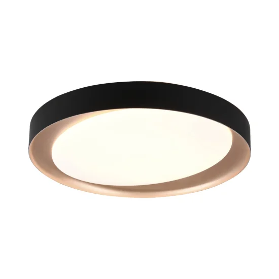 LUZ DE TECTO LED BENTON 24W REGULÁVEL PRETO 2