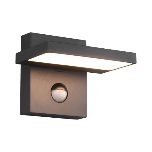 APLIQUE EXTERIOR LED 8 W 3000K ANTRACITA C/SENSOR IP54 BROMELIA