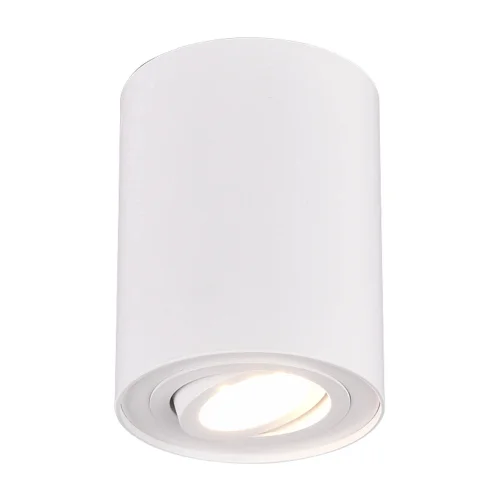 PLAFON DE TETO 1 LUZ OSCILANTE METAL BRANCO GU10 FORTUNE