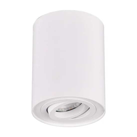 PLAFON DE TETO 1 LUZ OSCILANTE METAL BRANCO GU10 FORTUNE 2