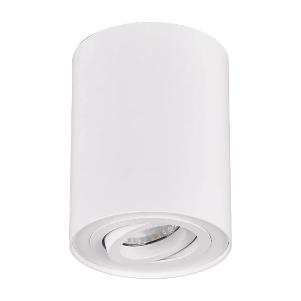 PLAFON DE TETO 1 LUZ OSCILANTE METAL BRANCO GU10 FORTUNE