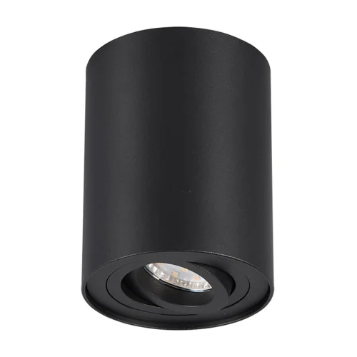 PLAFON DE TETO 1 LUZ OSCILANTE METAL NERO GU10 FORTUNE