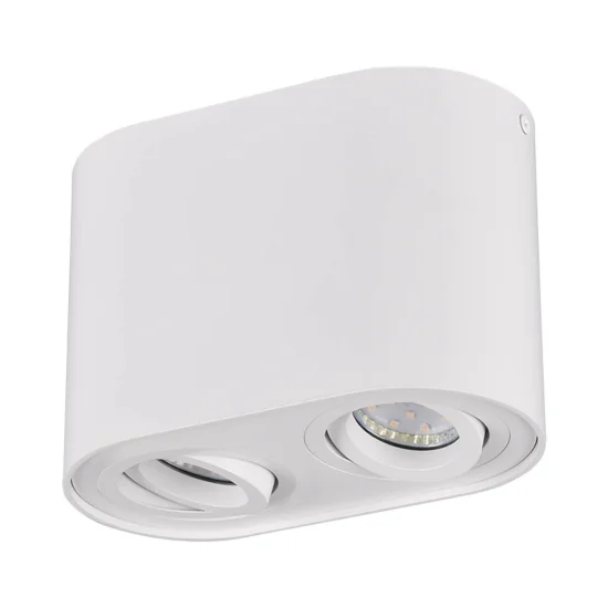 PLAFON DE TETO 2 LUZES OSCILANTE METAL BRANCO GU10 FORTUNE 2