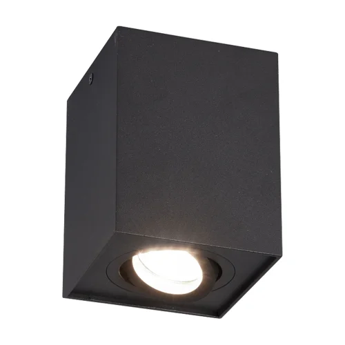 PLAFON DE TECTO 1 LUZ BASCULANTE METAL PRETO GU10 GARIBALDI