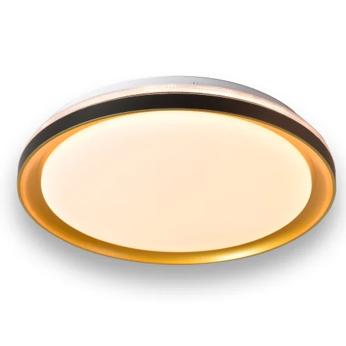 CANDEEIRO DE TETO LED 35 W REGULÁVEL COM CONTROLE REMOTO PRETO/DOURADO SHIRLEY