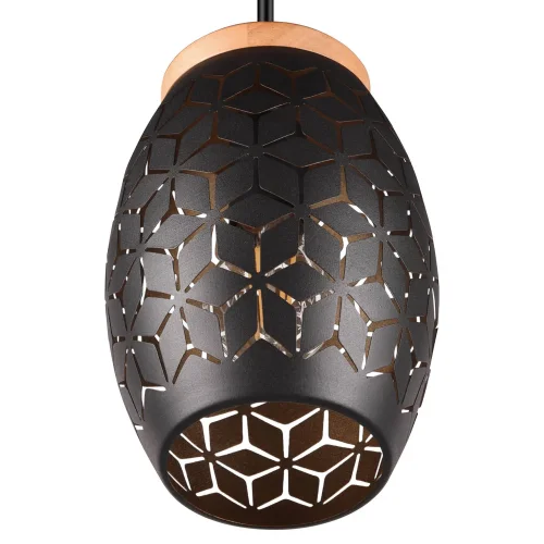 CANDEEIRO DE TETO SUSPENSO 1 LUZ MÉTAL PRETO E27 BIRKITA