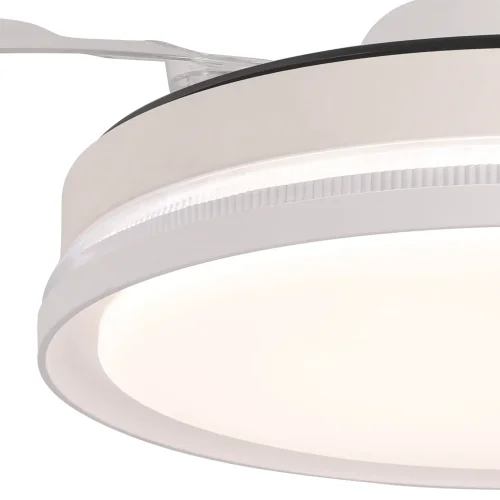 Width Asps Plegables LED 35W 2700-6000K Branco Lorelei