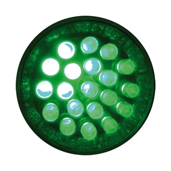 LÂMPADA DIRETA 2º LEDS 1W VERDE