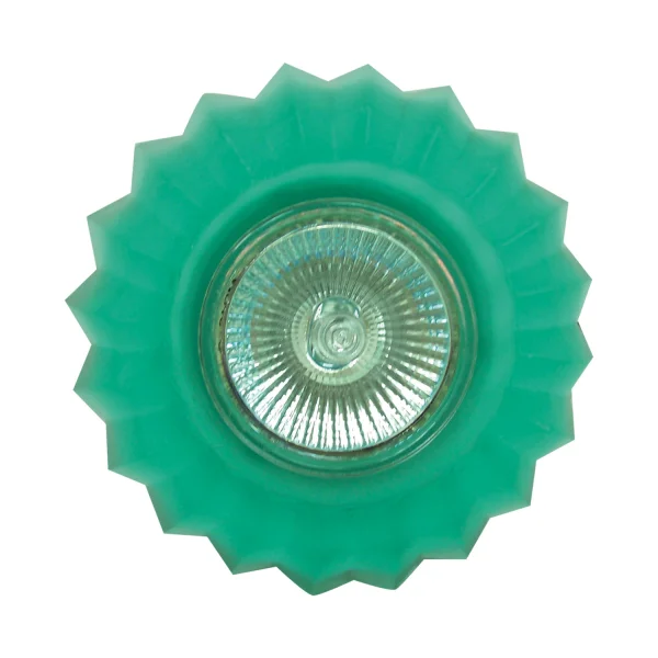 OLHO DE BOI ESTRELA VERDE