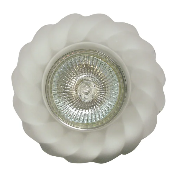 ONDAS OCULARES DO BOI FIXO BRANCO
