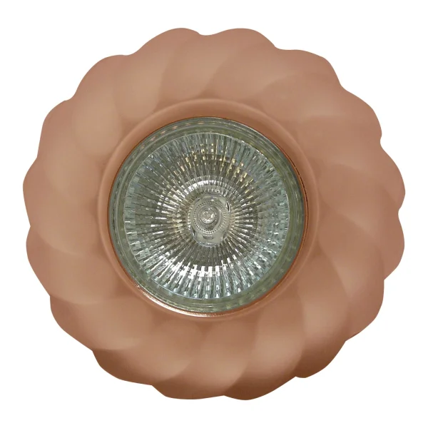ONDAS OCULARES DO BOI FIXO ROSA