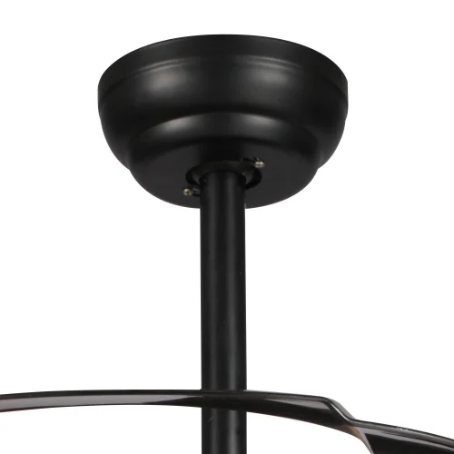 MARROM LED FORREST VENTILADOR TETO