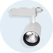 Focos de Trilho